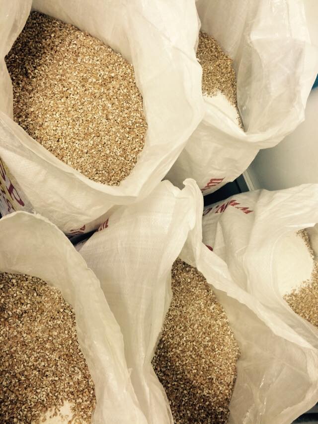 Starting with malt